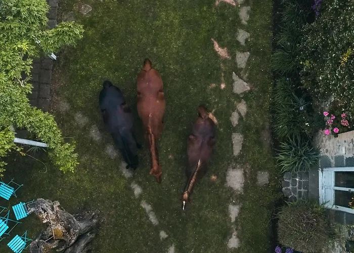 Collinablu * Torre San Severo