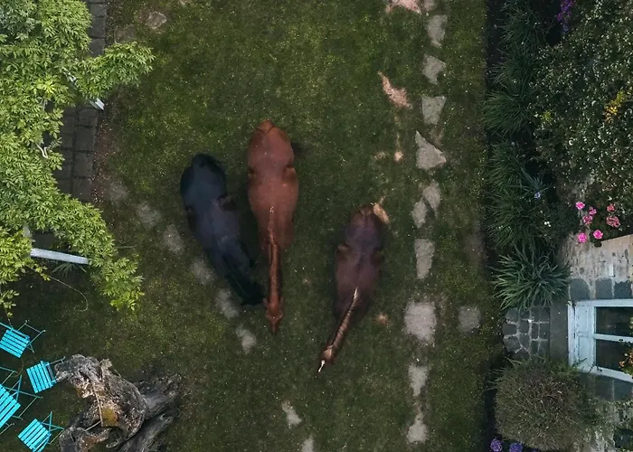 Collinablu Panzió *