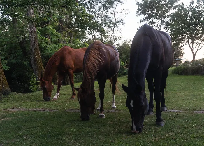 Collinablu * Torre San Severo