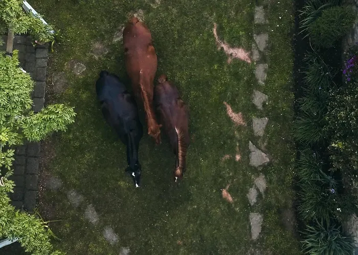 Collinablu Panzió Torre San Severo